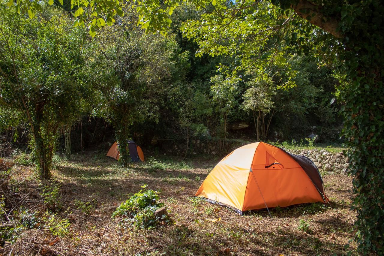 Кемпинги Auto camp Radoman Вирпазар-6