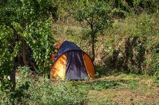 Кемпинги Auto camp Radoman Вирпазар-1
